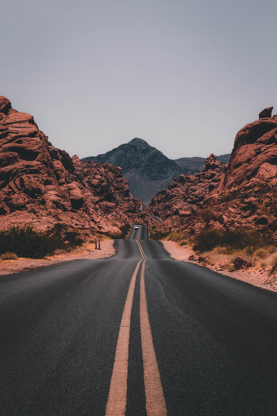Travel budgets are moving from monthly rates to same-day quote checks
